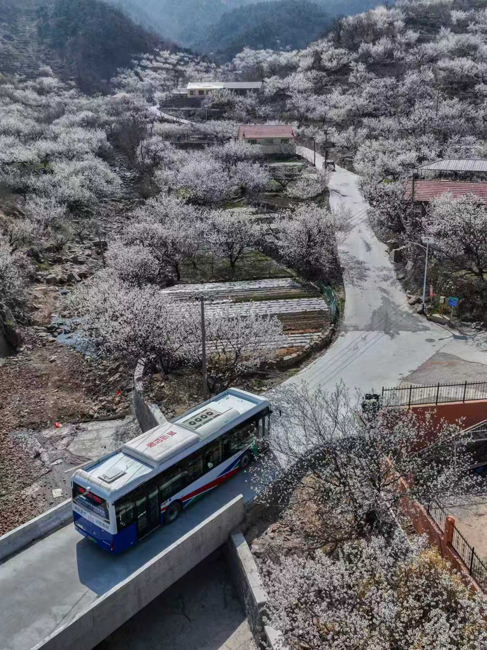 微信图片_20260316143245_1480_461.jpg
