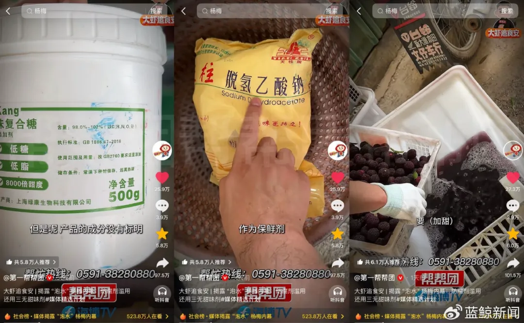 福建漳州等地杨梅彻底玩完，估计是没多少人敢吃了