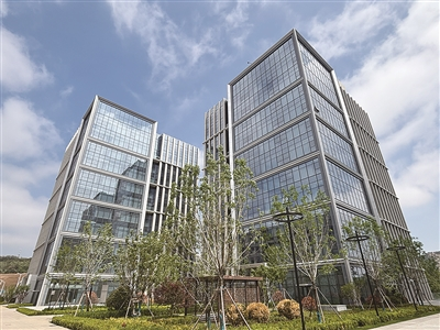 青岛具身智能机器人创新中心6栋楼宇全链布局机器人